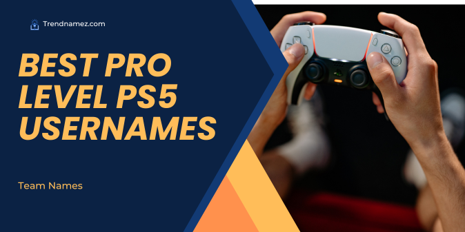Best Pro Level PS5 Usernames